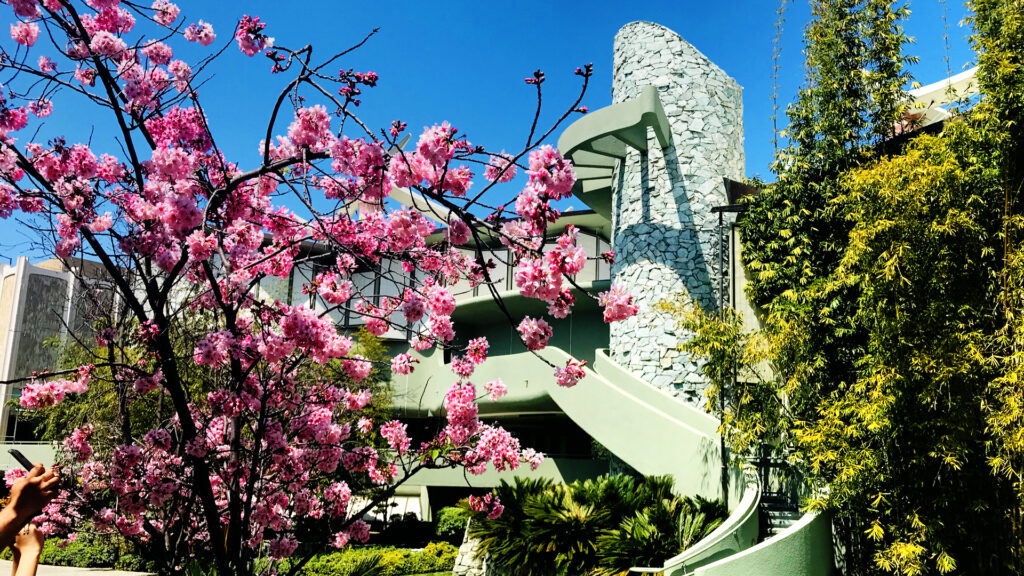 zoom background LACMA