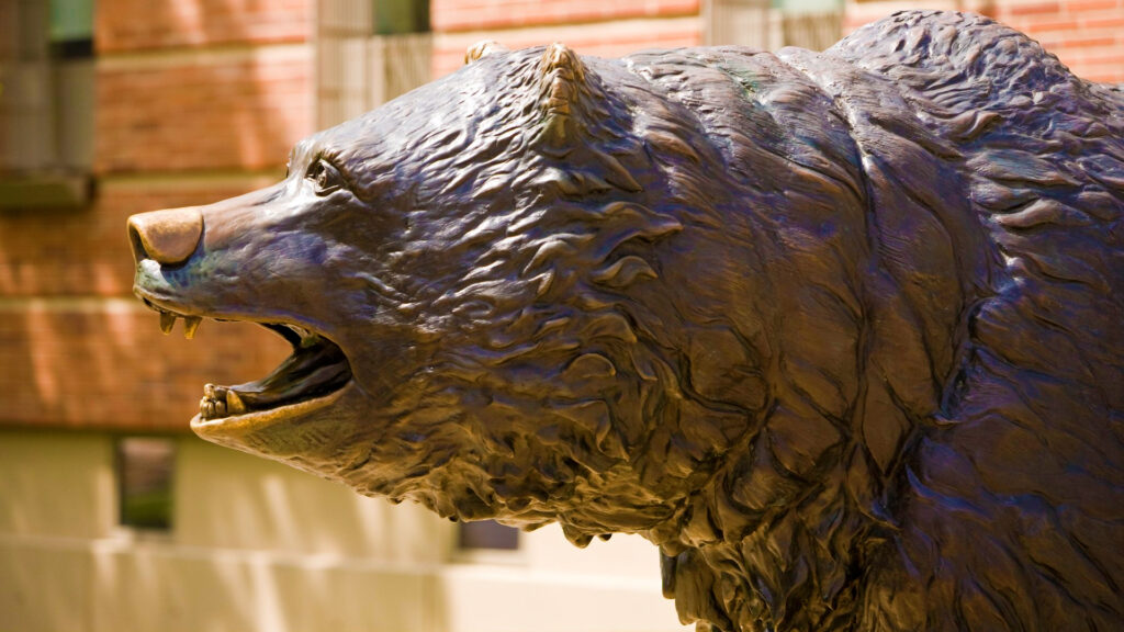 zoom background UCLA Bruin Bear