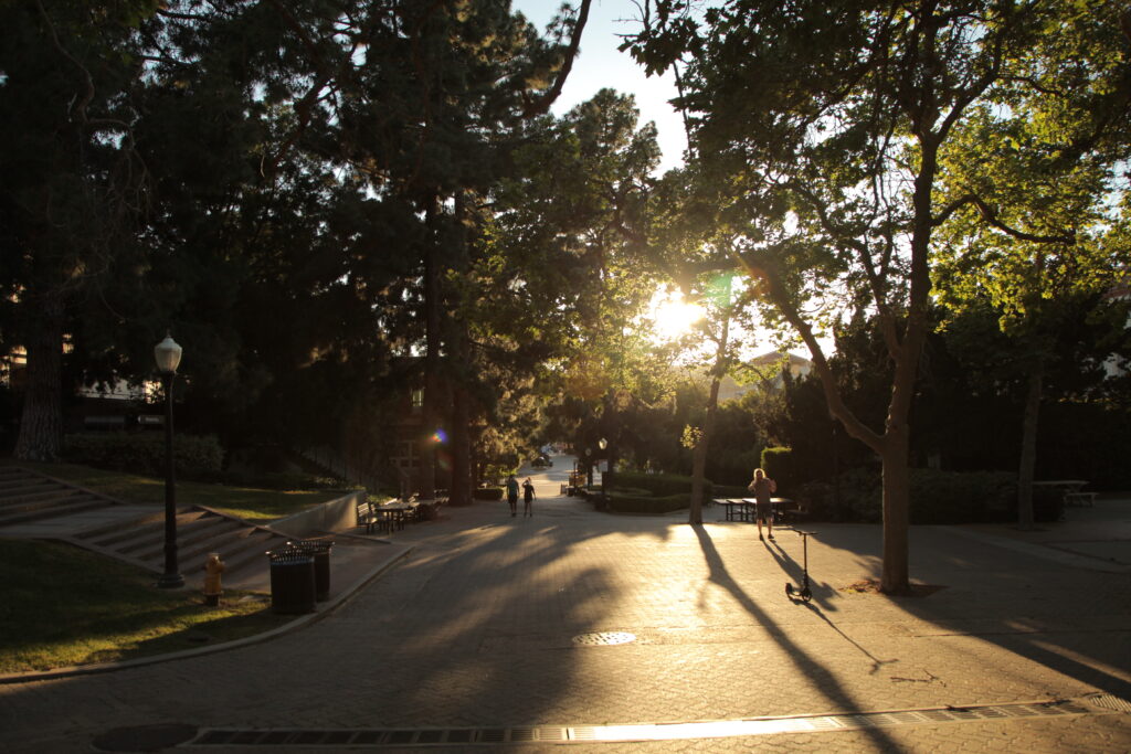 zoom background UCLA bruin walk sunset