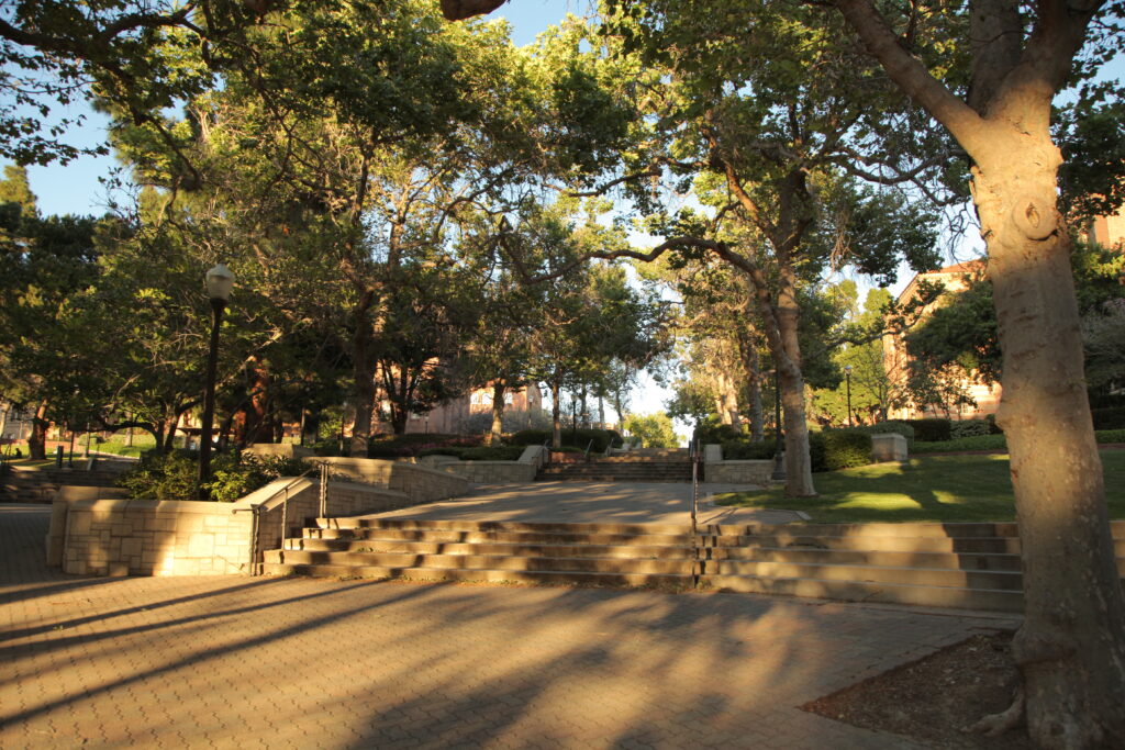 zoom background UCLA bruin walk uphill