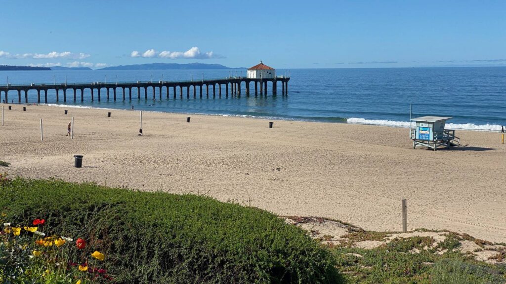 zoom background Manhattan Beach